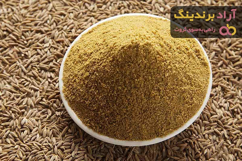 خرید و قیمت پودر رازیانه برای چاقی