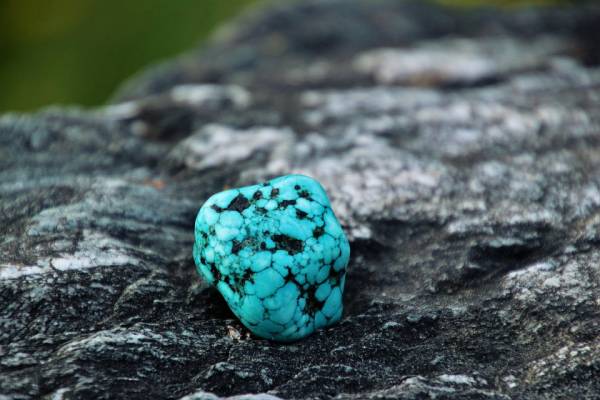 قیمت خرید سنگ فیروزه اصل + عکس