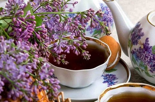 قیمت خرید گل گاوزبان اروپایی + طرز تهیه