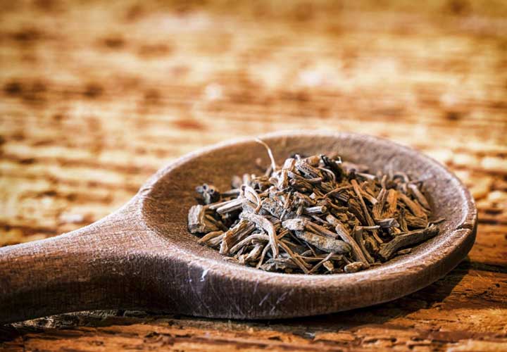 قیمت خرید ریشه سنبل الطیب + مشخصات، عمده ارزان