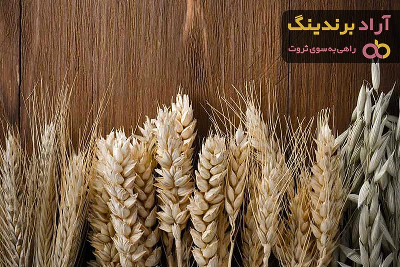 خرید بهترین انواع گندم خوراکی با قیمت ارزان