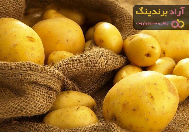 قیمت سیب زمینی خام مرغوب + مشخصات بسته بندی عمده و ارزان