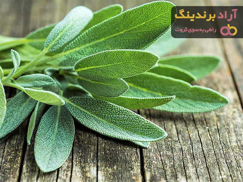 خرید مریم گلی خشک شده | فروش انواع مریم گلی خشک شده با قیمت مناسب