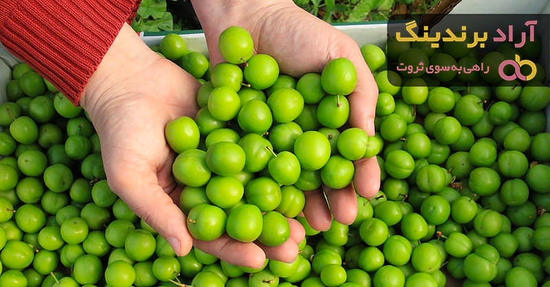 قیمت گوجه سبز + خرید و فروش گوجه سبز عمده