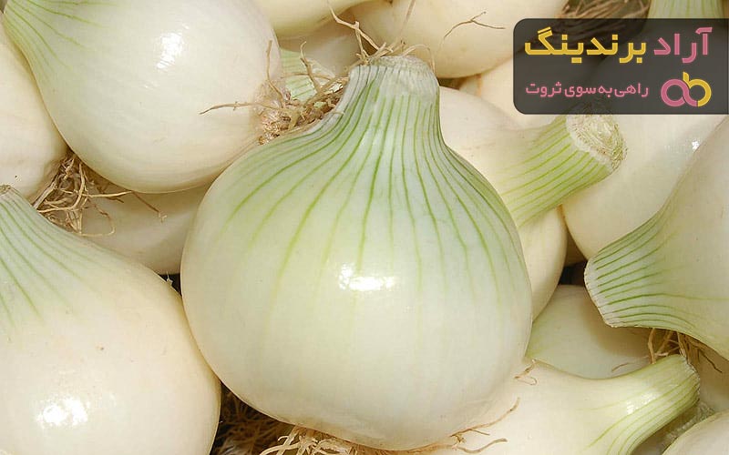 خرید جدیدترین انواع پیاز سفید سبز