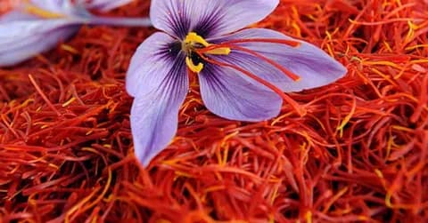 مرجع قیمت انواع زعفران قائنات + خرید ارزان