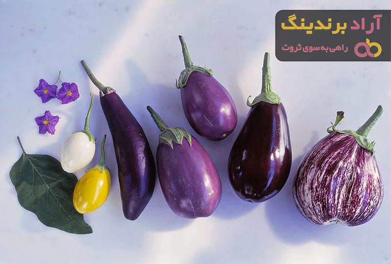 خرید و قیمت انواع بادمجان لامپی صادراتی