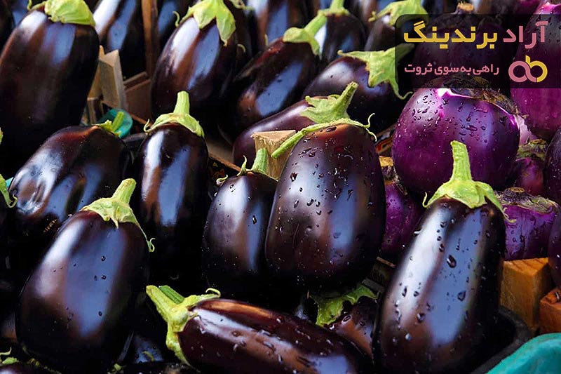 قیمت خرید بذر بادمجان لامپی + عکس