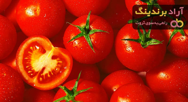 قیمت گوجه فرنگی جنوب و فرآوری آن به صورت عمده در بازار