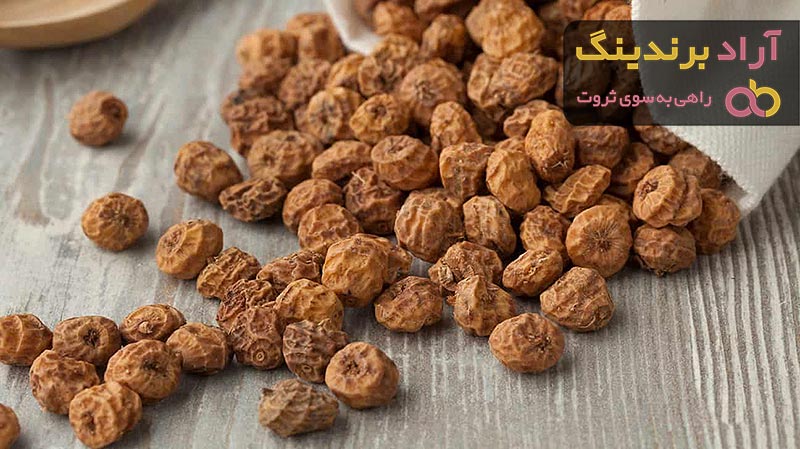 مقایسه قیمت خرید انواع آجیل ببر در دی ۱۴۰۱