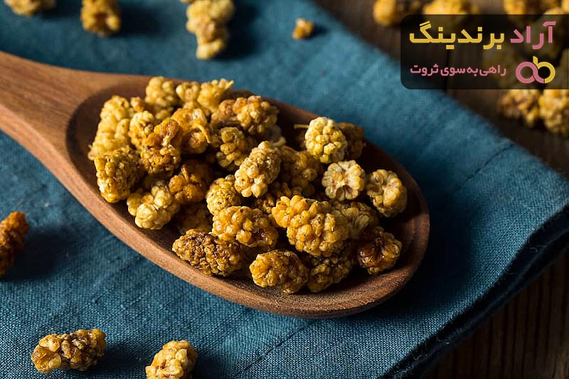 بهترین توت خشک سفید + قیمت خرید عالی