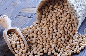 قیمت خرید نخود ارگانیک + مزایا و معایب