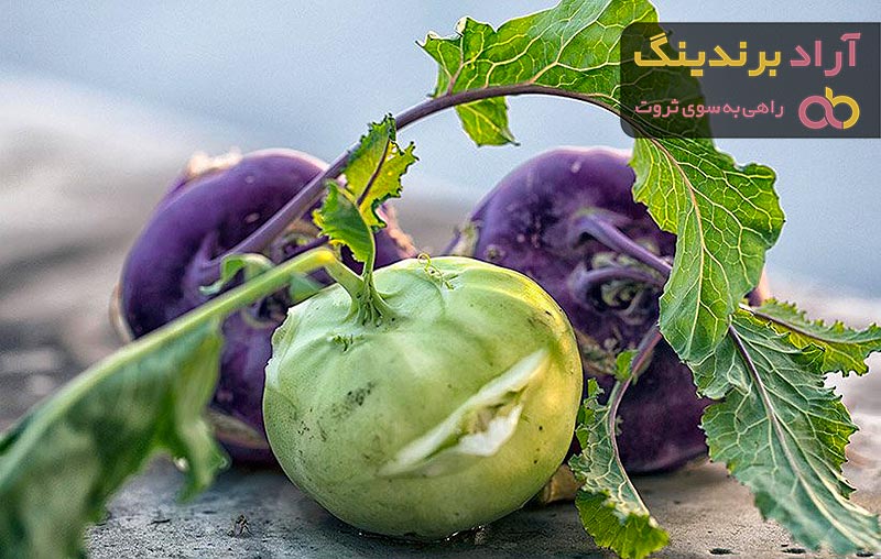 قیمت کلم قمری + خرید و لیست قیمت روز کلم قمری دی ۱۴۰۱