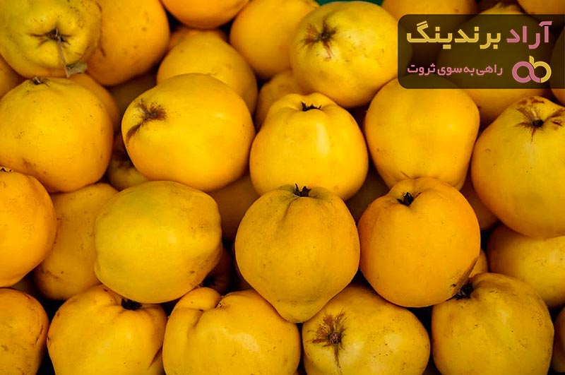 همه محصولات میوه به (Quince fruit) + قیمت خرید