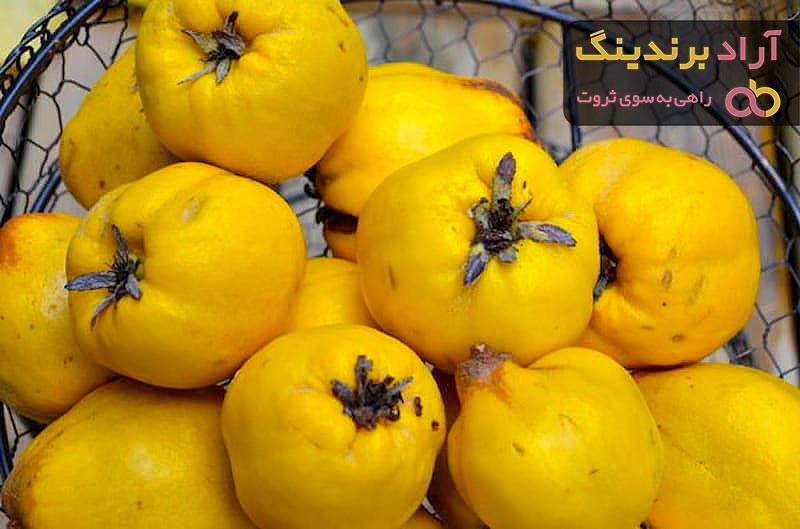 میوه به | فروشندگان قیمت مناسب میوه به