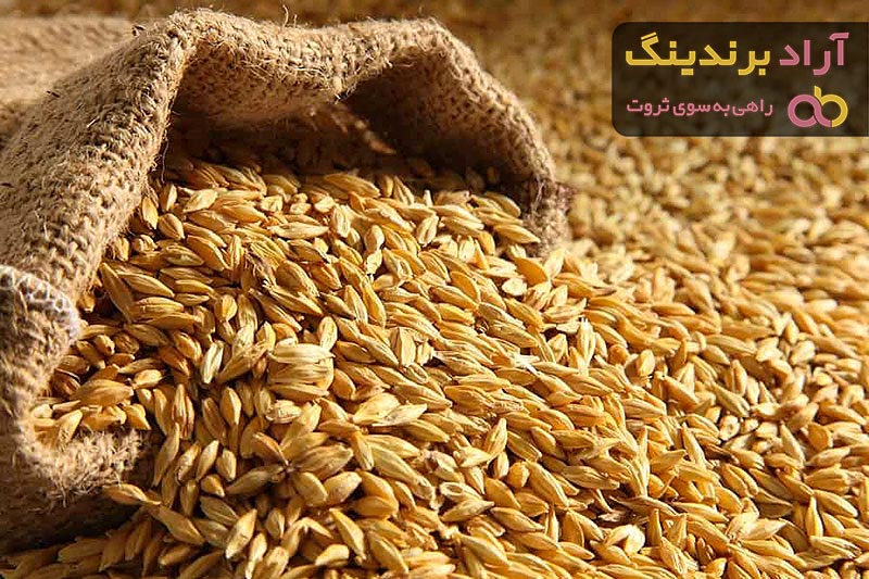 خرید گندم مرغی در بسته بندی های عمده به صورت اینترنتی با قیمت روز