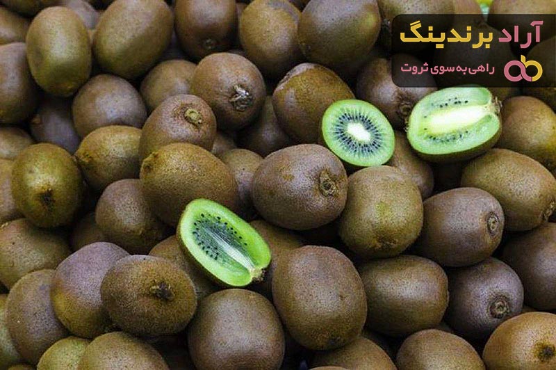 خرید انواع کیوی تو سرخ با بهترین قیمت