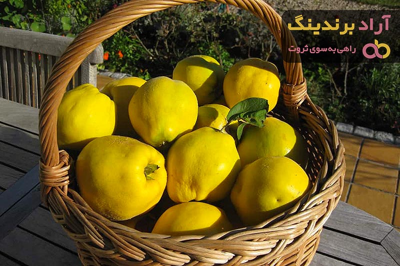 خواص میوه برای زیبایی + قیمت خرید