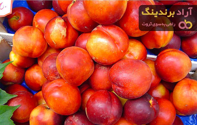 مرجع قیمت انواع شلیل انجیری + خرید ارزان