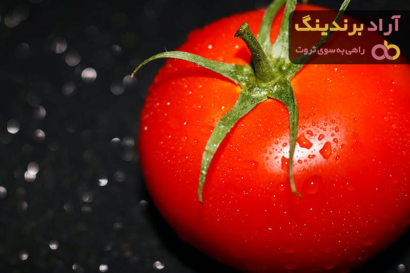 گوجه فرنگی قرمز به همراه بهترین بسته بندی های صادراتی