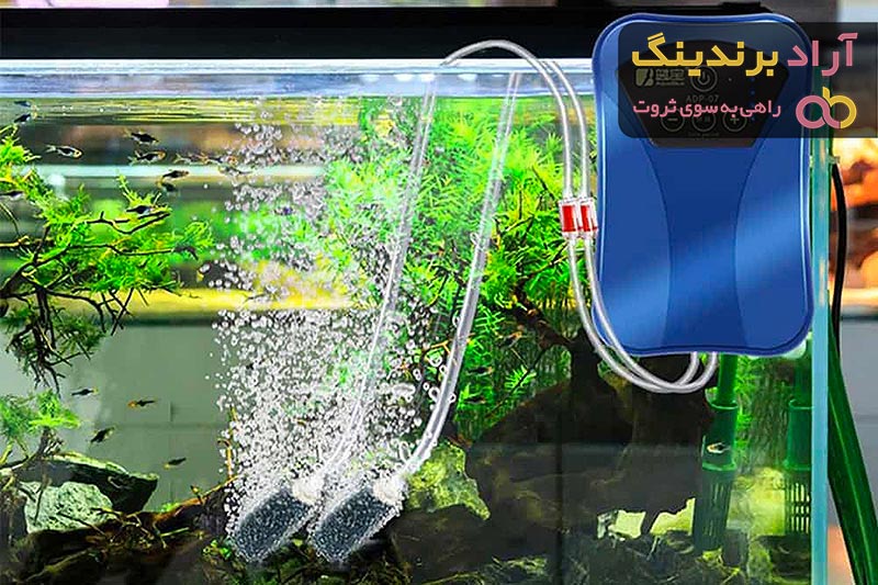 تصفیه آب آکواریوم در جدید ترین مدل ها برای تمیز کردن آب