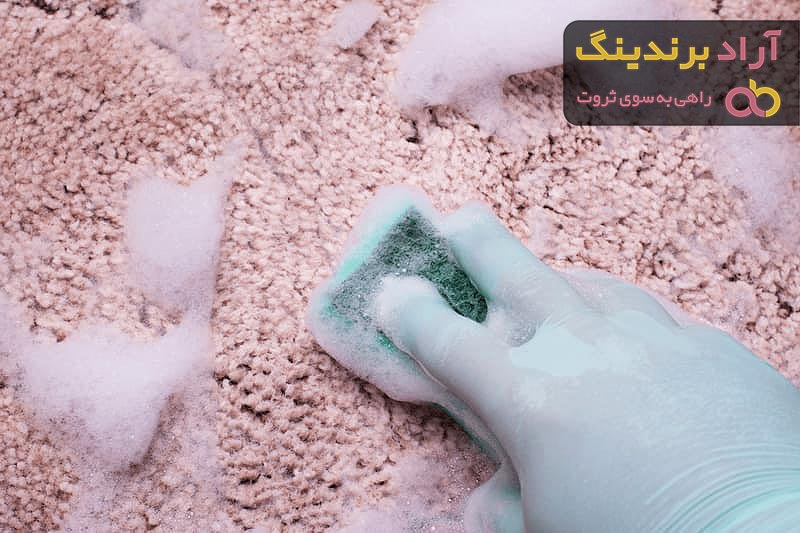 قیمت شامپو فرش خانگی از تولید به مصرف