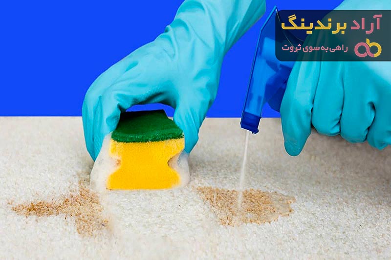 قیمت شامپو فرش خانگی از تولید به مصرف