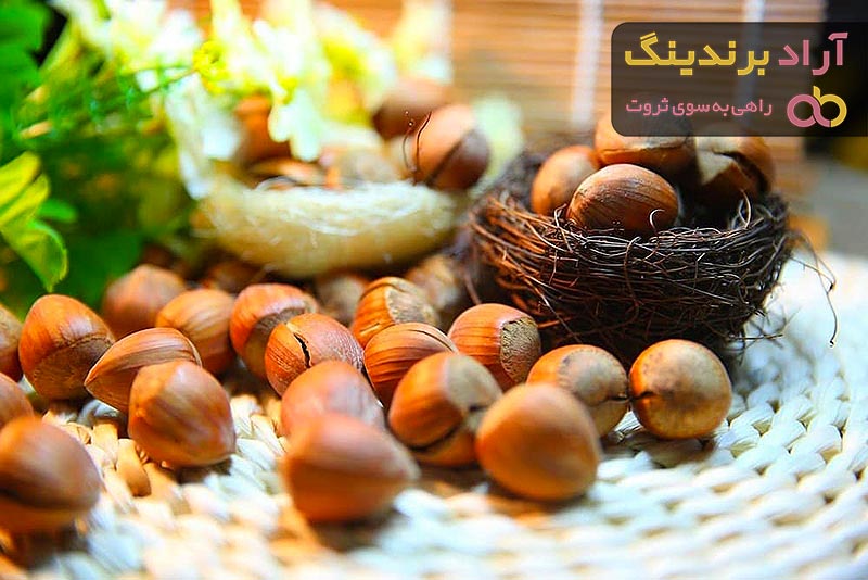 مغز فندق درجه یک با کیفیت ویژه و استثنایی در بسته های مختلف