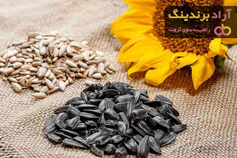 خرید و قیمت تخمه آفتاب گردان چینی گران