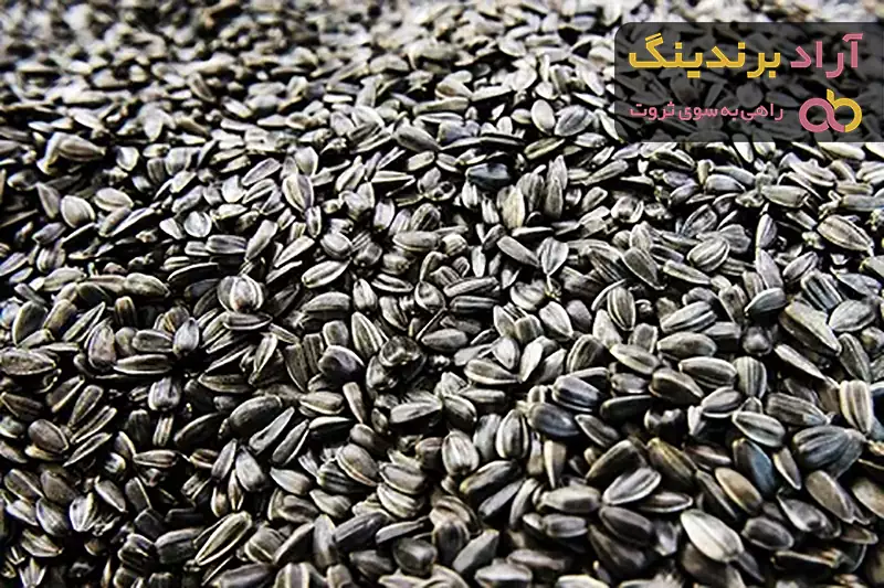 بهترین تخمه آفتابگردان کدام است؟ + مقایسه کامل | قیمت عالی