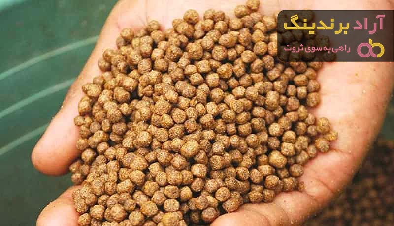 قیمت خرید غذای ماهی خانگی + طرز تهیه