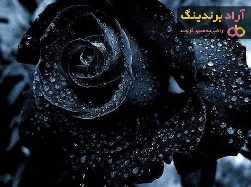 دسته گل رز مشکی تسلیت | قیمت مناسب خرید عالی