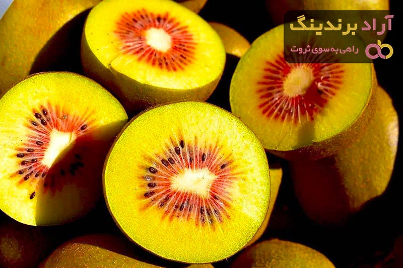 خرید بهترین انواع کیوی با قیمت عالی