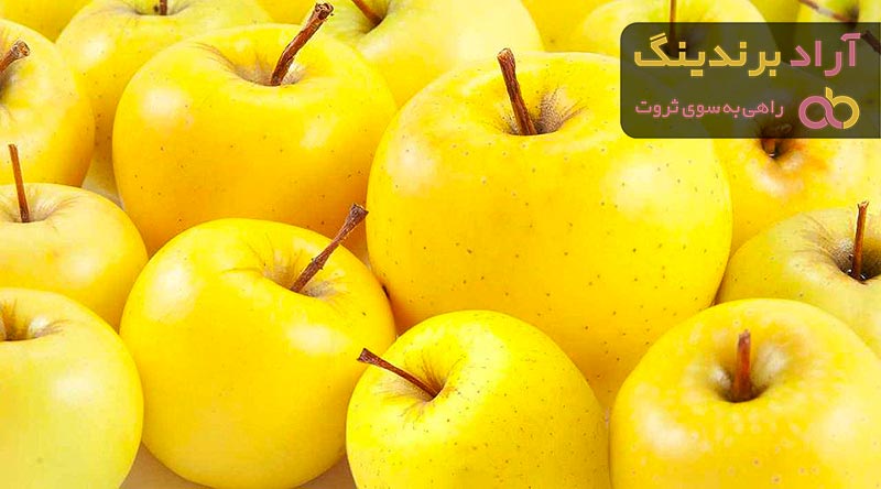 قیمت سیب زرد فرانسه + خرید و فروش سیب زرد فرانسه عمده