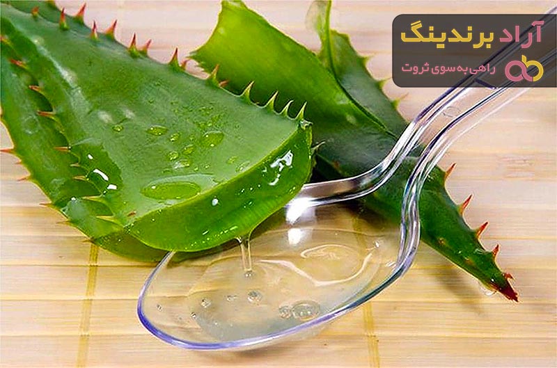 آلوئه ورا برای حاملگی شیردهی