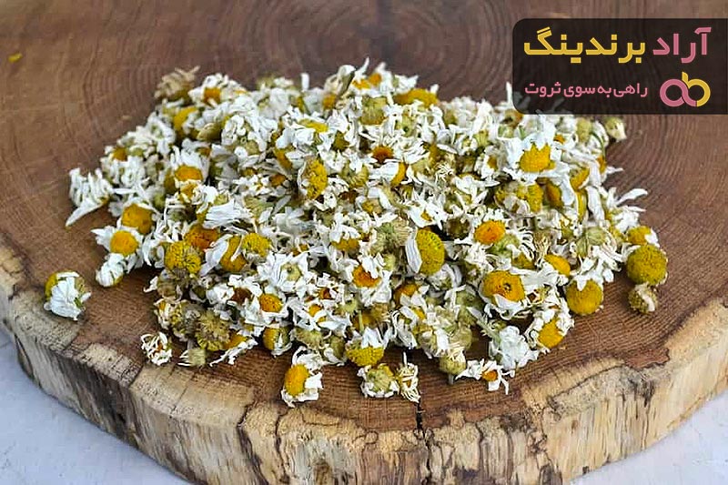گل بابونه برای سفیدی مو + بهترین قیمت خرید