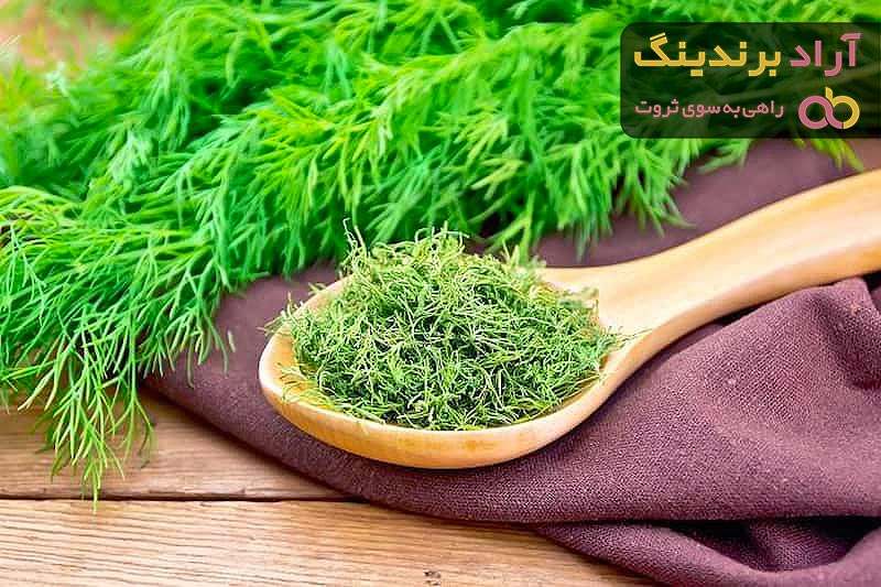 معرفی سبزی خشک شوید و خواص بی نظیر آن