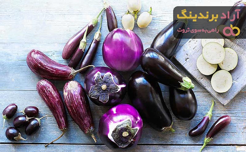 قیمت بادمجان لامپی گلخانه ای + مشخصات بسته بندی عمده و ارزان