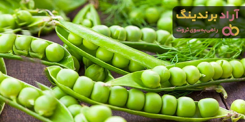 نخود فرنگی کنسروی و بهترین راه نگهداری آن در طولانی مدت