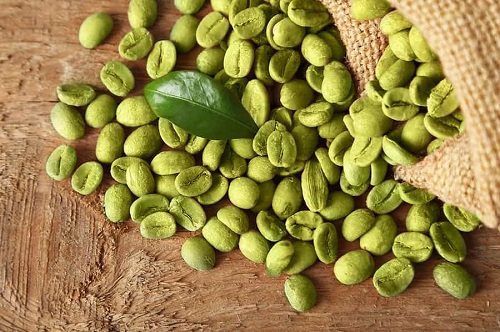 معرفی کامبوچا قهوه سبز + بهترین قیمت خرید