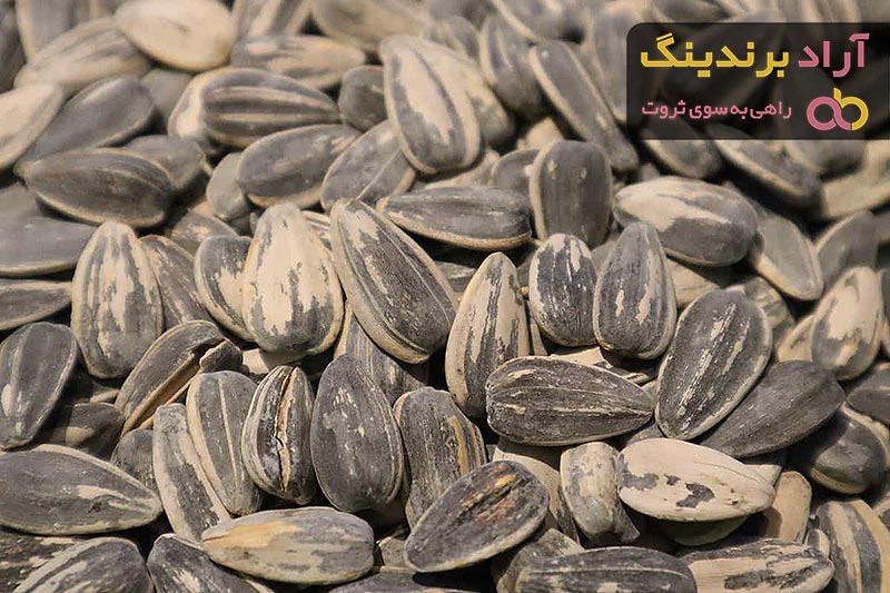 بهترین تخمه آفتابگردان شور + قیمت خرید عالی