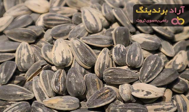 بهترین تخمه آفتابگردان شور + قیمت خرید عالی