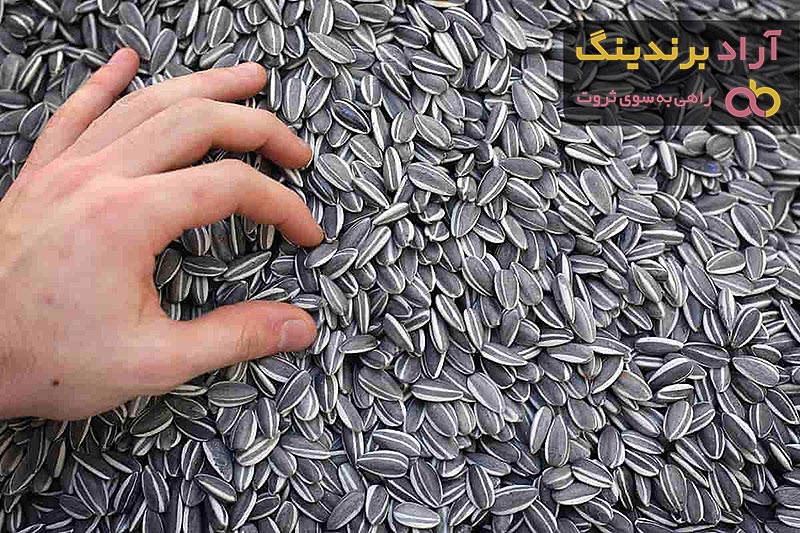 بهترین تخمه آفتابگردان روغنی + قیمت خرید عالی
