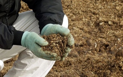 خرید کود اهن برای درخت با قیمت استثنایی