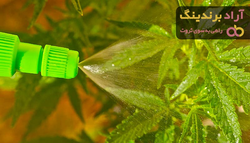 قیمت و خرید کود آهن مایع بسته بندی + فروش ارزان