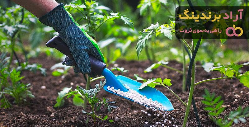 کود سفید چیست + قیمت خرید، کاربرد، مصارف و خواص