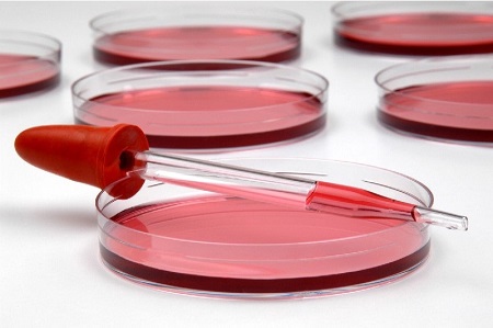 بهترین جیوه قرمز پودری کدام است؟ + مقایسه کامل | قیمت عالی