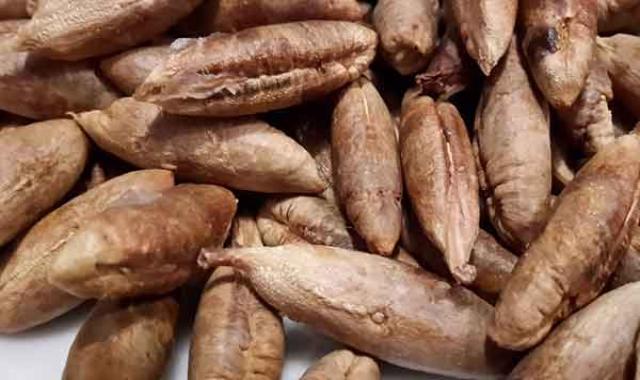 هسته خرما تبریز + قیمت خرید، کاربرد، مصارف و خواص