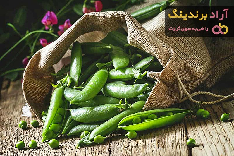 نخود فرنگی را از کجا بخریم + قیمت خرید