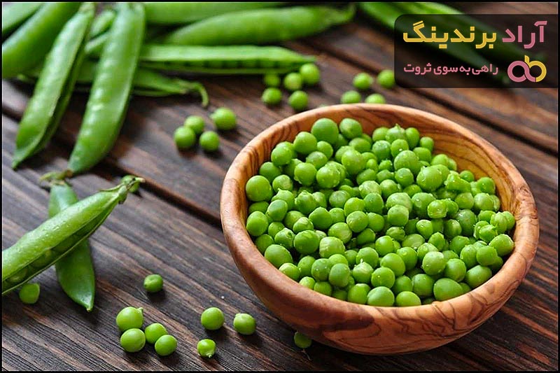 قیمت نخود سبز + خرید و فروش نخود سبز عمده